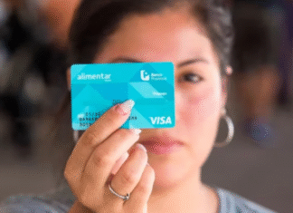 QUE PASARA CON LA TARJETA ALIMENTAR Y AUH EN NOVIEMBRE 2025