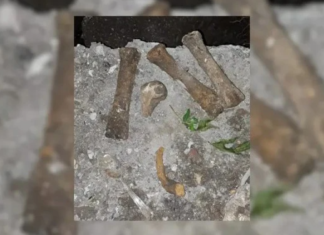 MAR DEL PLATA: ENCUENTRAN HUESOS HUMANOS EN UNA CASA