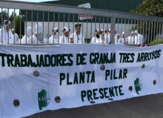 Cerealera 3 Arroyos confirmó 16 despidos en su planta de Pilar